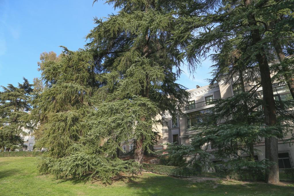 Albergue Meetingpoint