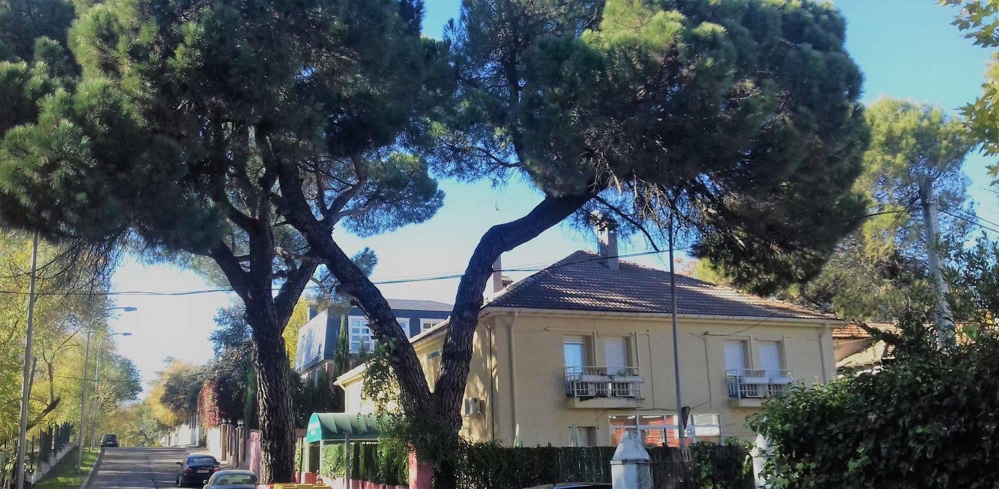 Hotel Aravaca Garden