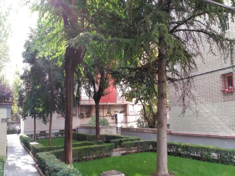 Apartment Rent 3 Madrid