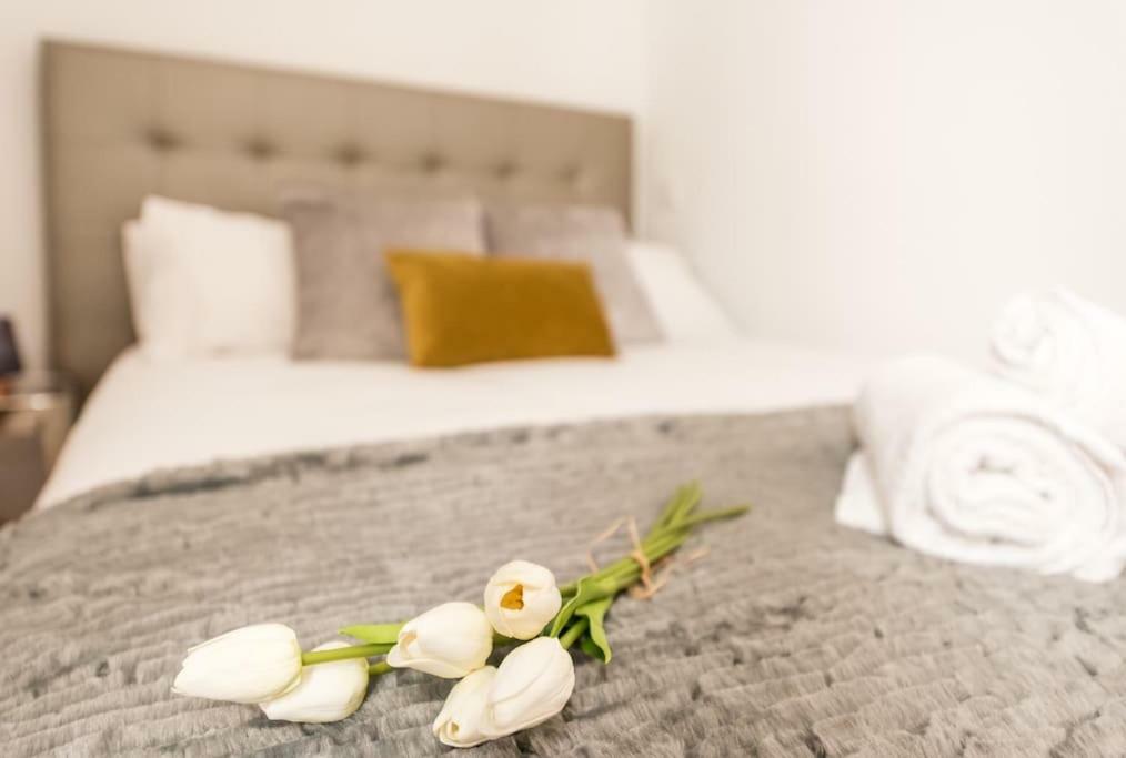 Apartamento Jorge Juan Madri