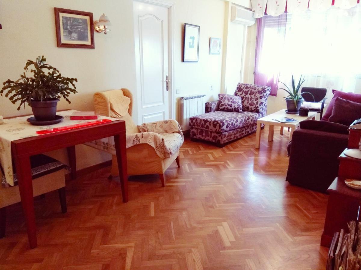 Warm And Well Connected Homestay Madrid